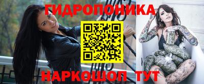 крисы Кандалакша