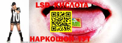 синтетический гашиш Камышлов