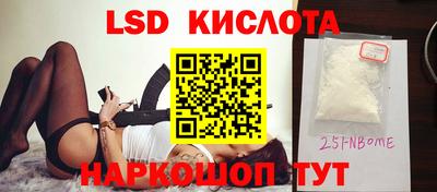 крисы Кандалакша