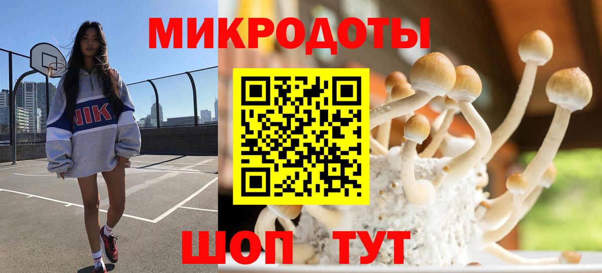 Ленинск-Кузнецкий  Псилоцибиновые грибы мухоморы  Галлюциногенные грибы Magic Shrooms  Вход с VPN 